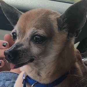 Meet your Posher, Eduardo